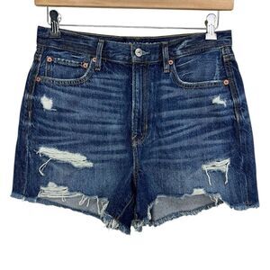 American Eagle 90s Boyfriend Shorts Denim Distressed Shorts Womens 10